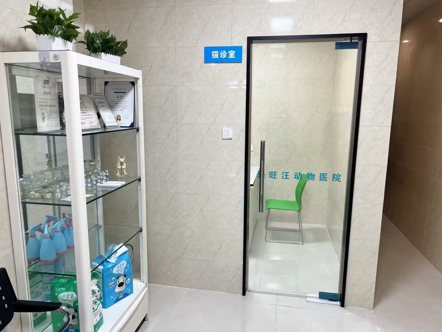 德阳宠物